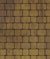  Тротуарная плитка Выбор Классико Листопад А.1.КО.4 Гранит 40 мм Янтарь: внешний вид